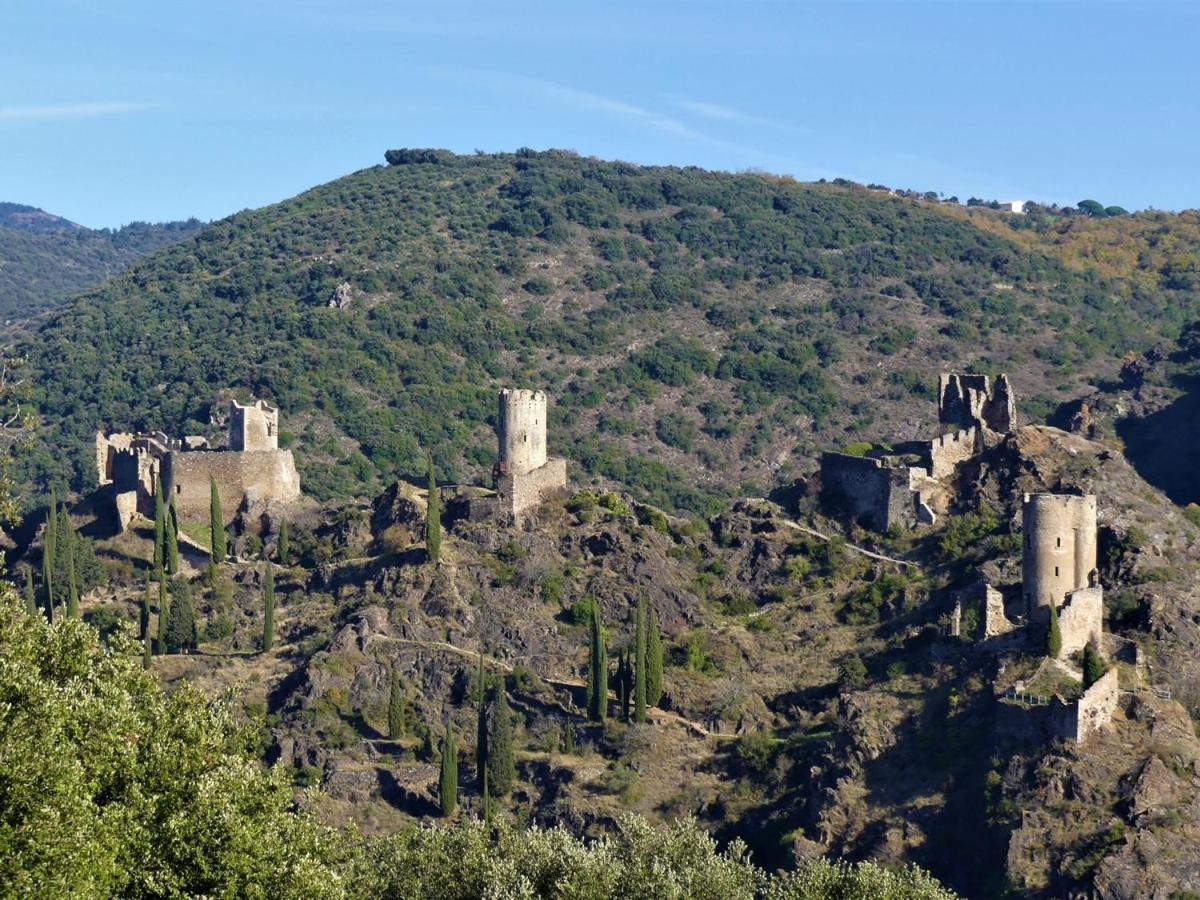 Au Soleil Couchant Villemoustaussou Buitenkant foto